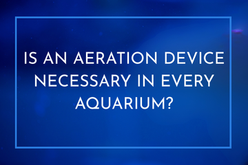 Is an Aeration Device Necessary in Every Aquarium?