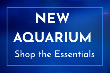 New Aquarium Setup Guide: What You’ll Need to Get Started