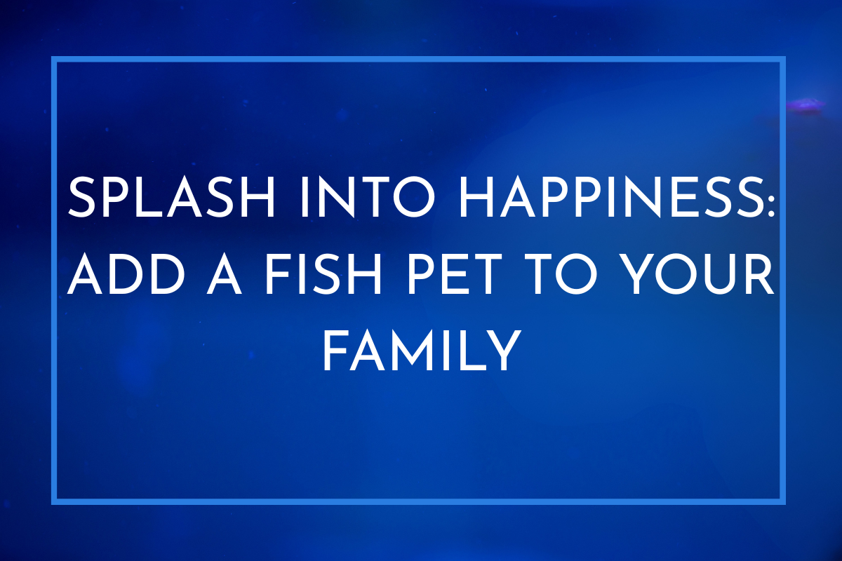 Splash Into Happiness: Add a Fish Pet to Your Family