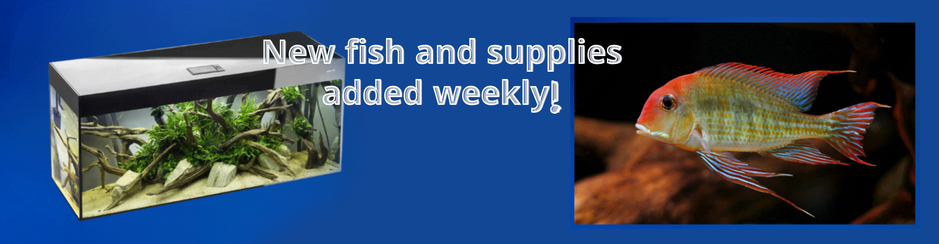 slider image slider_item_b8qcwn